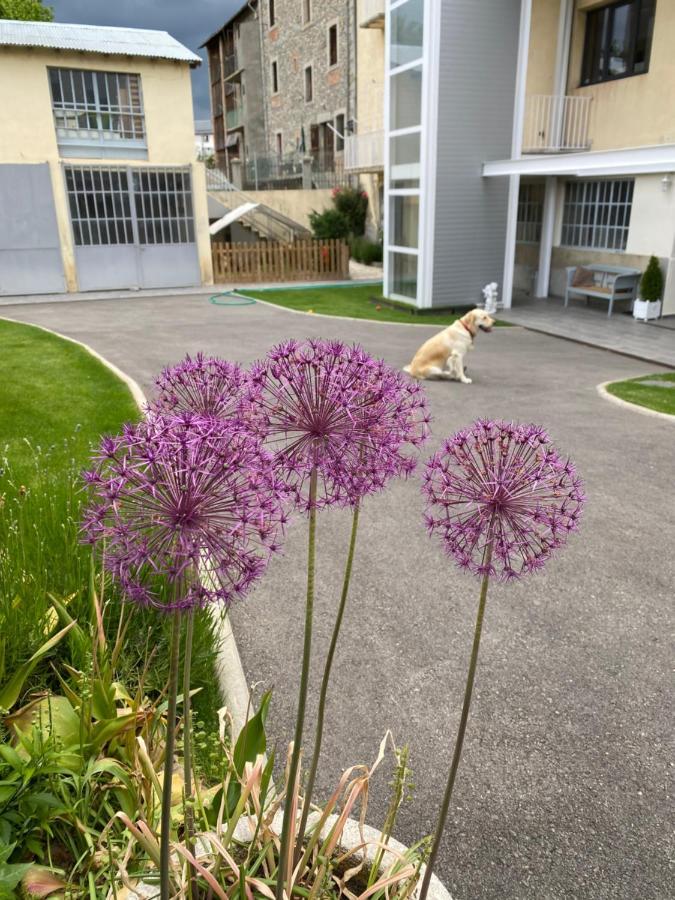 Chez Helene 3 Etoiles, Labellise Disabled Pmr,Pour 4 Personnes Chiens Bienvenus-Pet Friendly Apartment Bourg-Madame Exterior foto